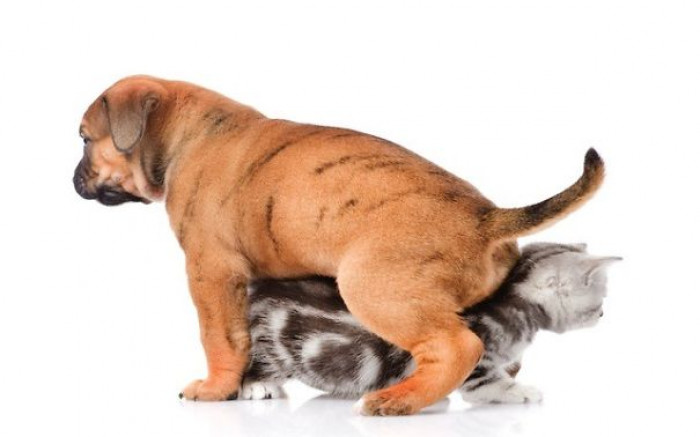 23. Stay in one place