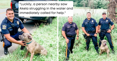 Officers Use Kayak In A Heroic Attempt To Rescue Dog From A Muddy Pond