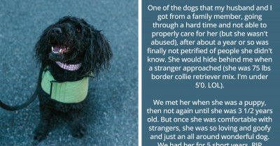 12 Beautiful Heartwarming Stories Of Rescue Dogs Building Trust With Their Humans