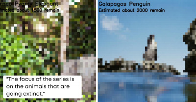 Pixelated Picture Series Will Let You Know How Close To Extinction These Animals Are