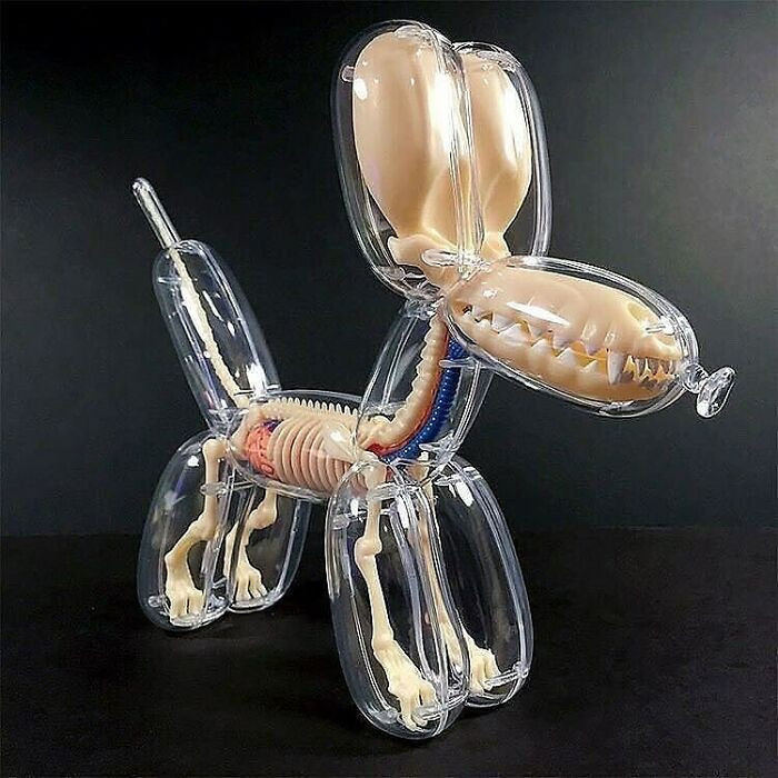 30. Balloon Dog Anatomy Designed By Gummifetus