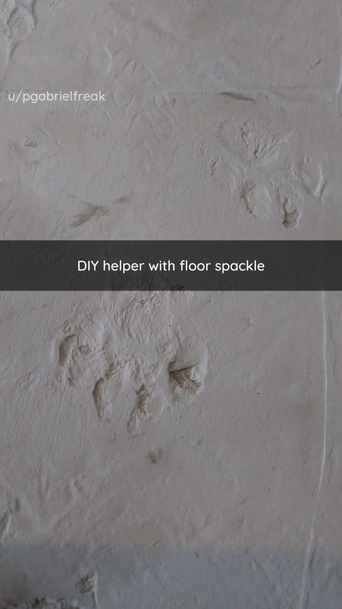 Naughty Cats Behaving In Ways You Have Nothing Nice To Say About