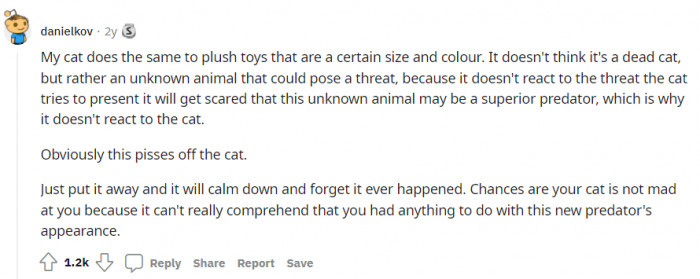People are coming out and saying that their animals have a similar reaction to plushies and other things. Interesting. 