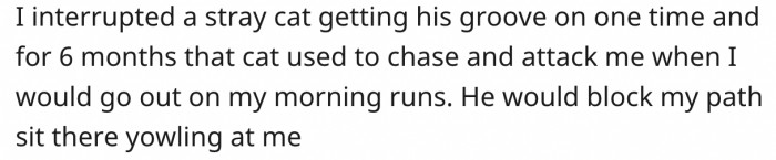 Neighbor’s cat acting menacingly near a house, people debating OP gender