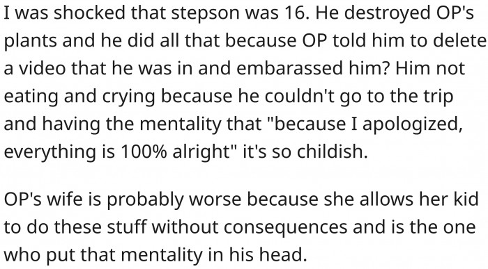 The mom is partly to blame here. She thinks that an apology is enough to correct behavior.