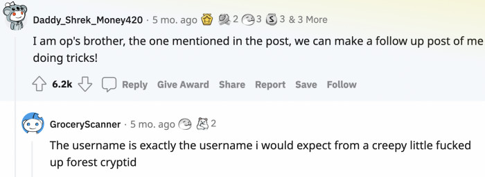 Apparently, OP's brother was aware of the post and replied with his own account with a username that fits him exactly