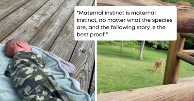 Deer Hears Human Newborn Crying and Rushes to Help
