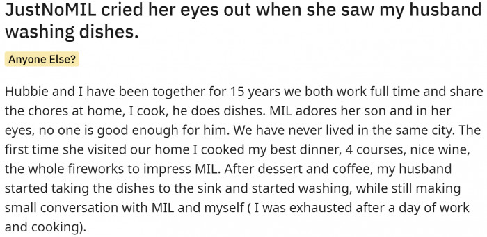 The times have changed, and in today's world, men and women do all the housework equally.