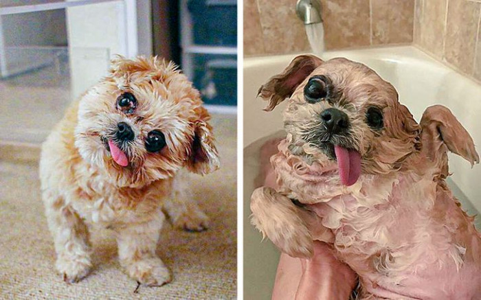 14. Here is Marnie acting weird after taking a good bath