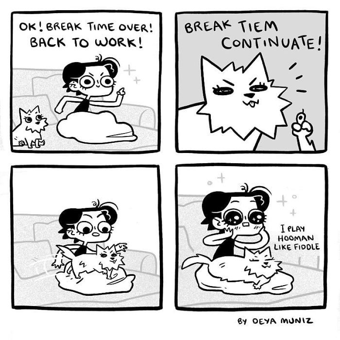 30. Got her wrapped around her little paws. Cue human manipulation.