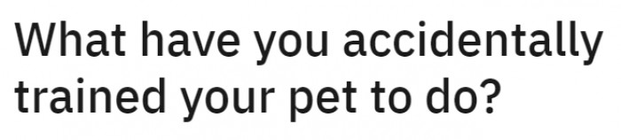 This was the question as posted on Reddit.