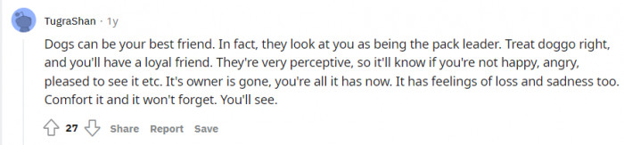 Very true, dogs will be your best friend.