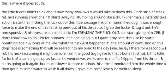 But the problem is that the dog might have enjoyed it too much.