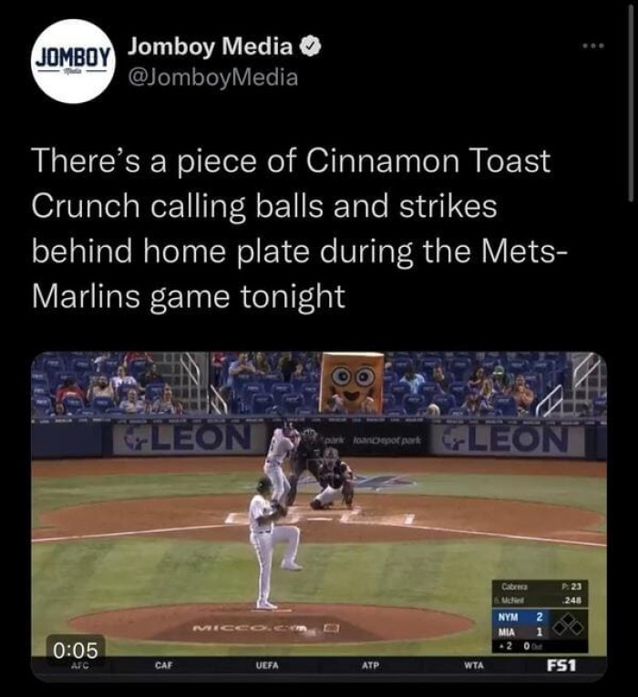 1. Never would you have imagined that a day would come where a piece of cinnamon toast would be calling balls and strikes at a baseball game