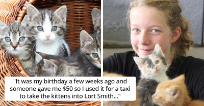 Compassionate Teen Uses Her Birthday Money to Take a Basket of 14 Kittens to the Animal Hospital