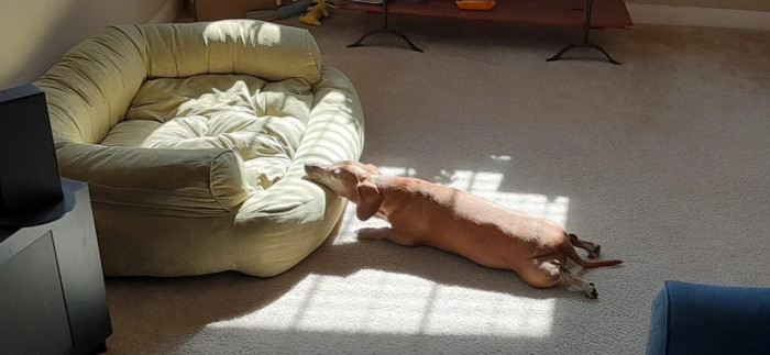 17. There are days, and then there are really long days