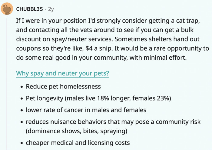 Spay and neuter your catnip-loving pets!