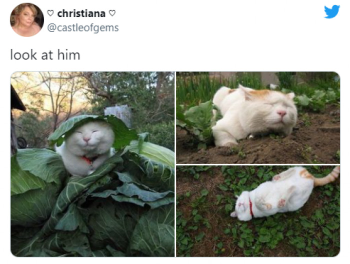 3. Just look at him chill.