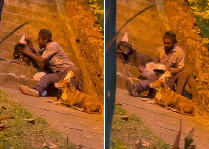 A man named Choco sat on the stairs at a local park with his two dogs wearing party hats