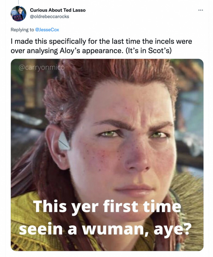 Someone modified Aloy’s picture into this meme as a response to those who judge her