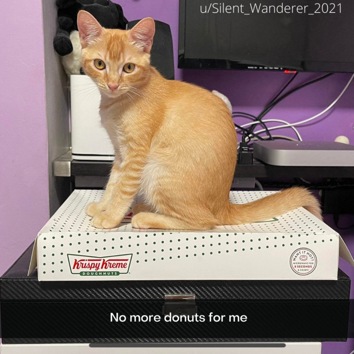 12. The donuts have been CLAIMED.