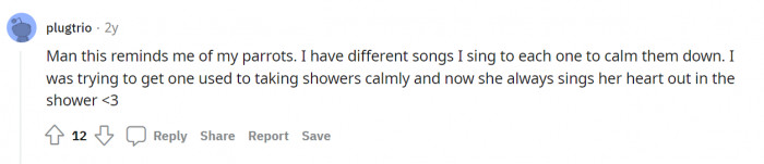 21. Oh, singing animals!