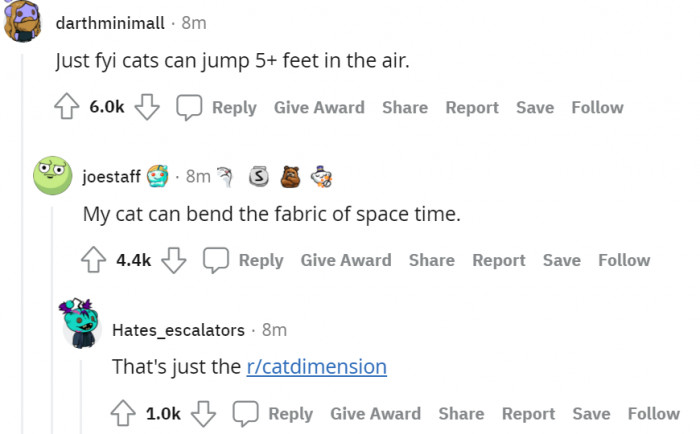 #2 Cats and their super powers.