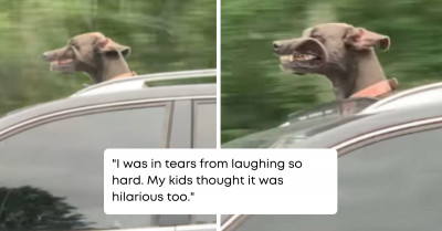 The Sight of This Car Passing By Had a Woman and Her Family Rolling with Laughter