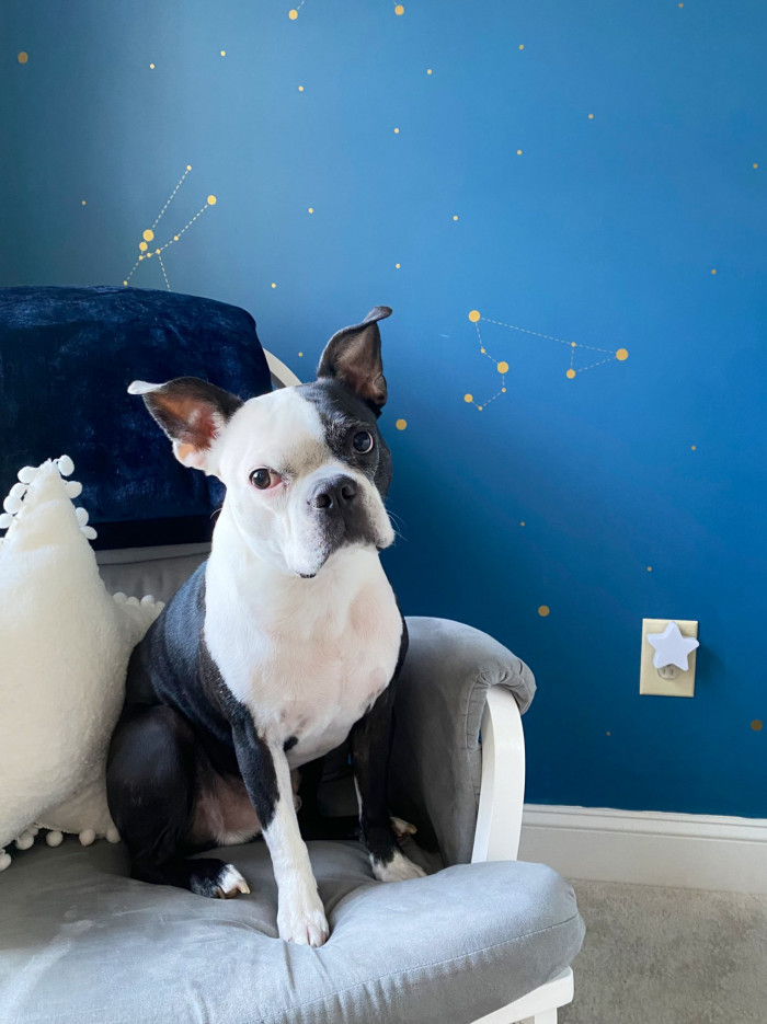 The image that accompanied the many thanks for the kind messages