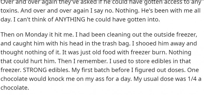 After a series of tests for different illnesses, the vets are still baffled and keep asking if Leo may have ingested some toxins