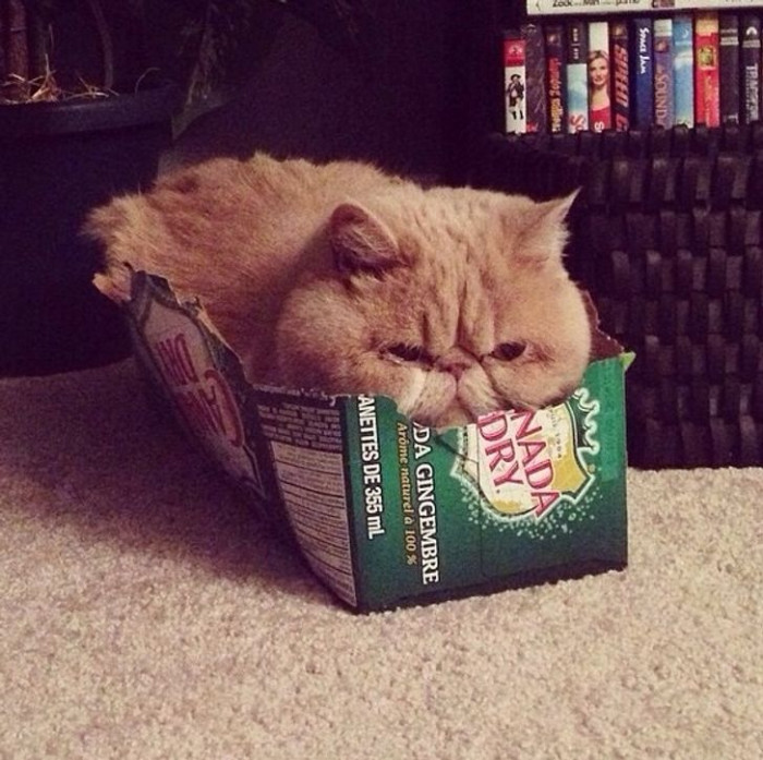 11. When you want to sits but can’t fits