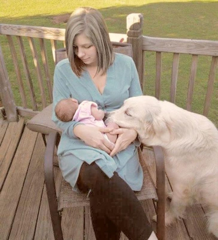 2. Service dog meets the baby for the first time 