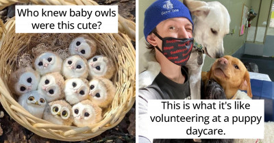 Here Are 25 Animal Photos That Will Bring You All the Joy You Need for This Week