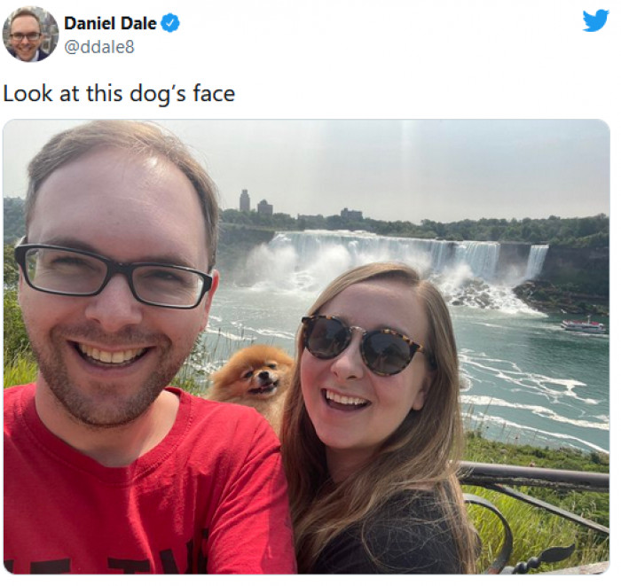 19. This dog is enjoying its trip!