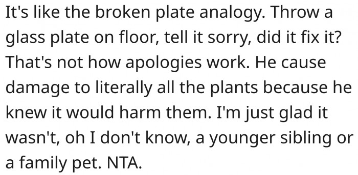 The mom should be educated with the broken plate analogy.
