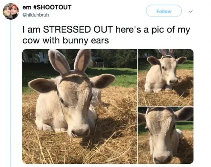 12. I can’t decide if I still want to keep her under the cow category or put her under the bunny one!