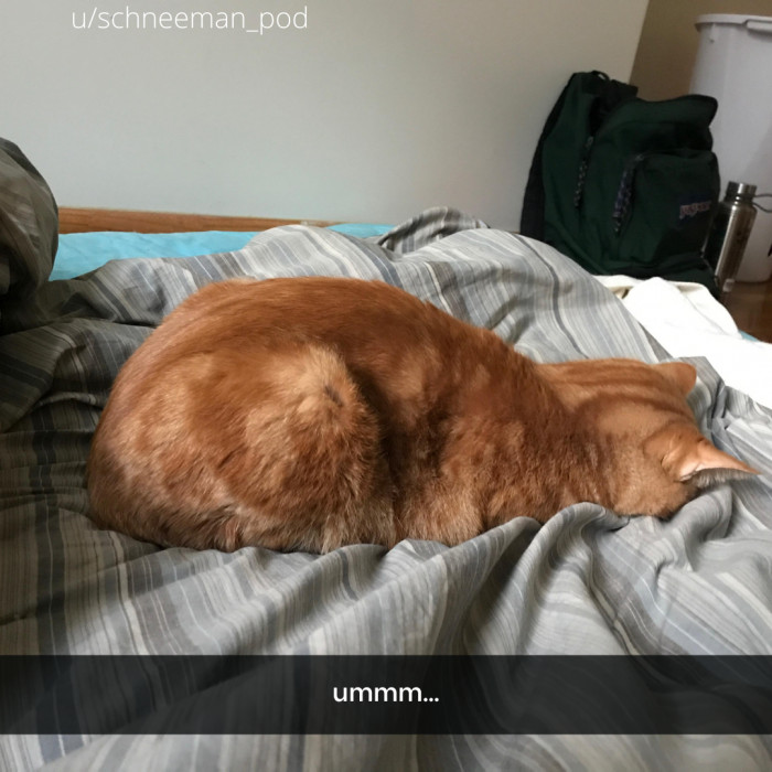 21. Face Plant