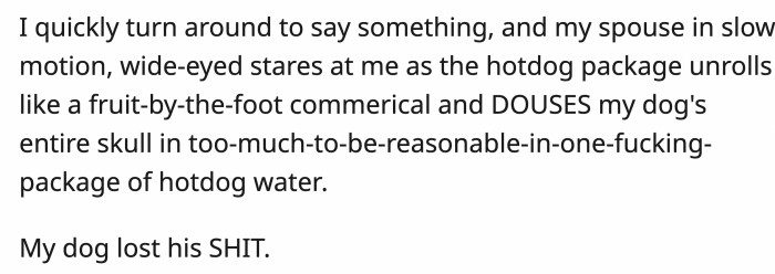 Dog engaging playfully with people, highlighting laughter as stress relief.