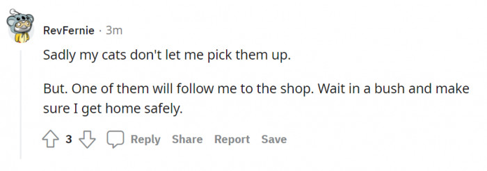 The cat bodyguard coming through.