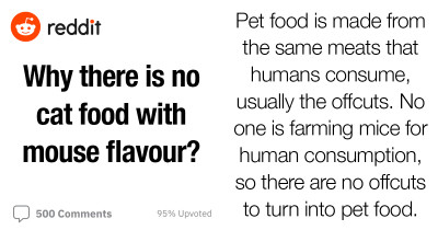 Reddit Users Try To Answer The Question About Why There Isn't Mouse-Flavored Cat Food