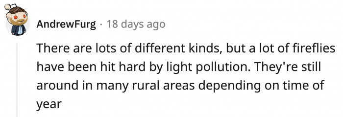 Where can we go where there's no light pollution?