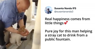 Good Samaritan Cups His Hands To Help Stray Cat Drink Water