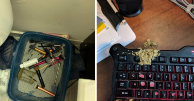 17 Photos Of Things Cats Will Do To Make You Question Your Undying Love For Them