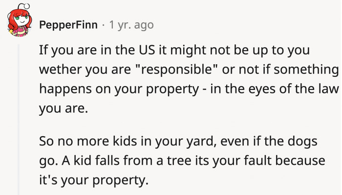 Redditors are pointing out what responsibility might fall onto OP and his wife since it's their property
