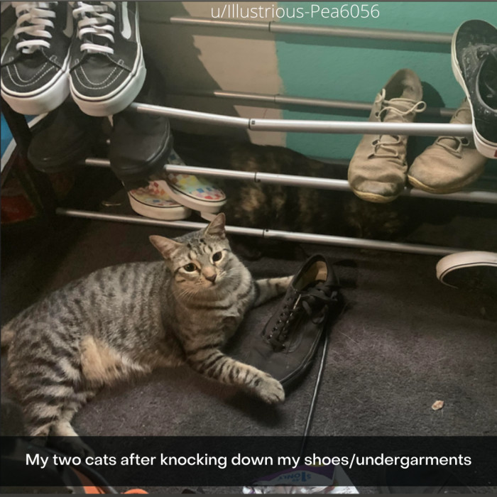 21. To heck with your shoes.