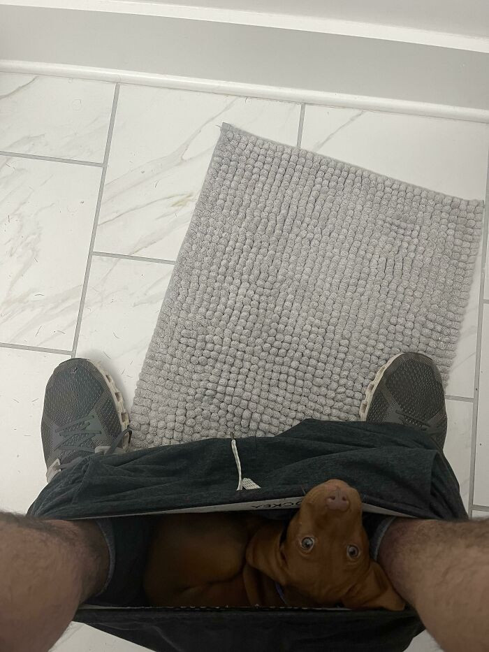 34. Well, I think he's comfortable enough