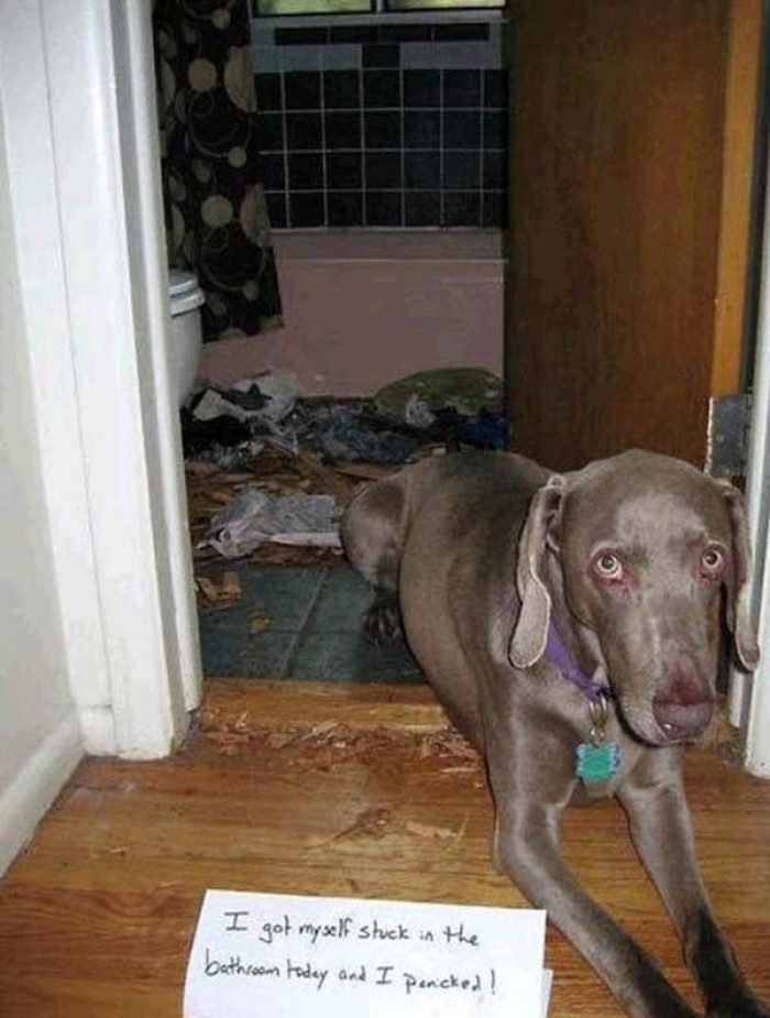 17. Consequence of not listening to humans