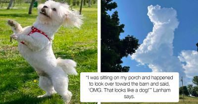 Woman Discovers An Amazing Cloud Dog In The Sky, And It’s Adorable