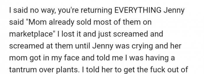 The sister-in-law didn't understand the value that OP placed on those plants. In her words, OP was having a 