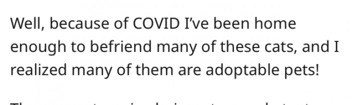 She sees tons of cats in her neighborhood.